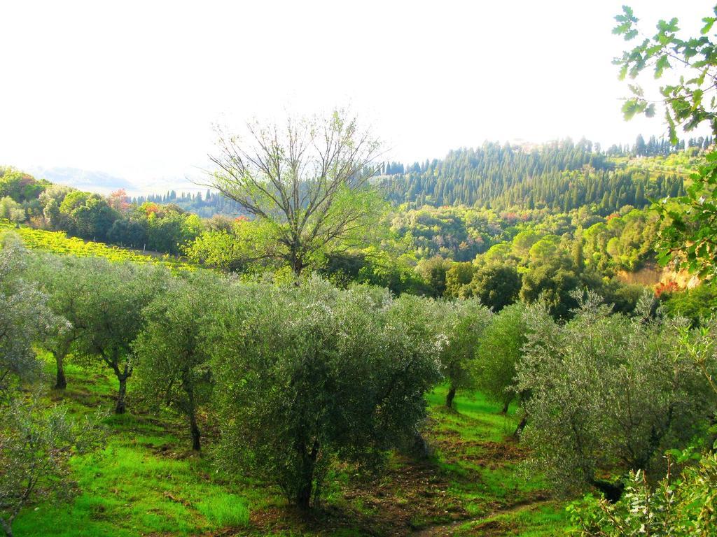 אמפולי Agriturismo Martignana Alta מראה חיצוני תמונה