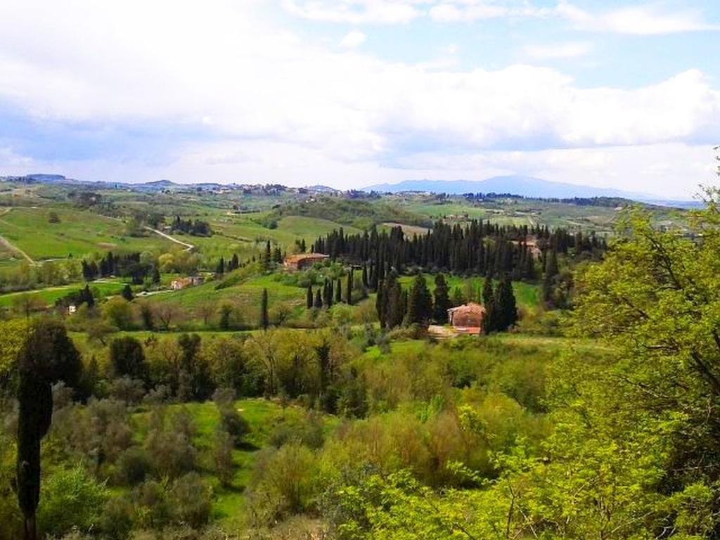 אמפולי Agriturismo Martignana Alta מראה חיצוני תמונה
